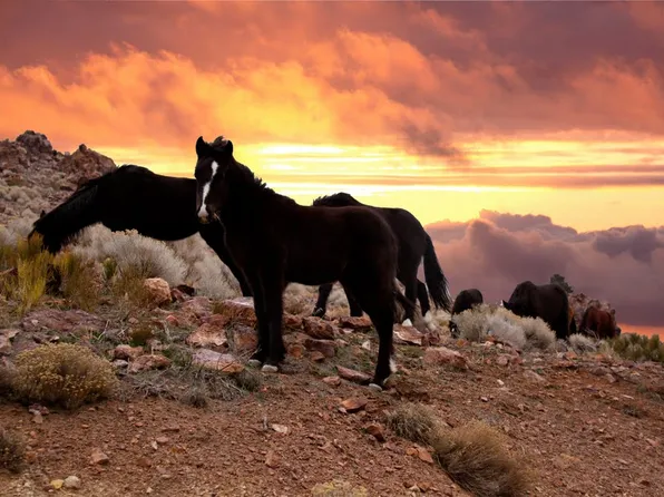 1761 Lousetown Rd, Reno, NV 89521