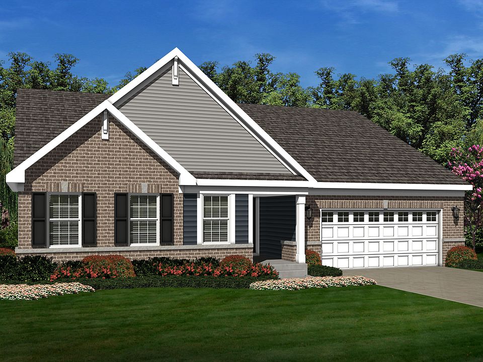 Elevation Image 0.
