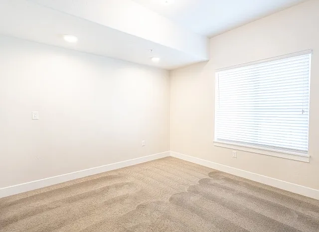 Bedroom with Lush Carpet and Modern Lighting Bedroom with Lush Carpet and Modern Lighting
