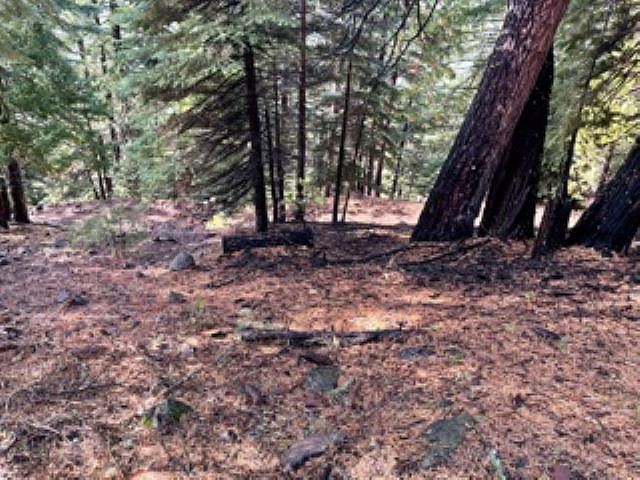 1st image of 777 Lassen View Dr #21