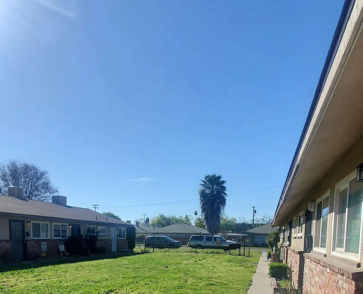 1 bed, $950 — Photo 2