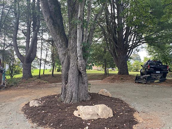Circular driveway and oak tree looking out from house