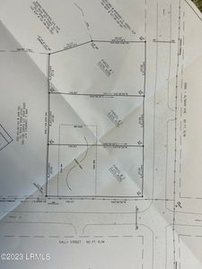 Tbd 3 Ginn Altman Avenue, Hampton, SC, 29924