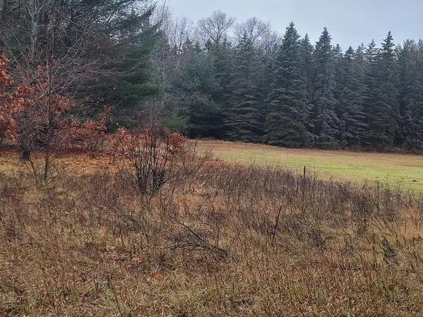 0 Walsh Rd, Montague, MI 49437