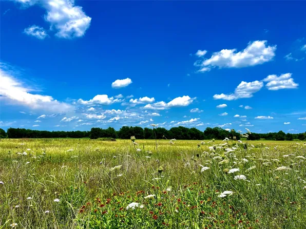 LOT 7 County Road 590, Nevada, TX 75173