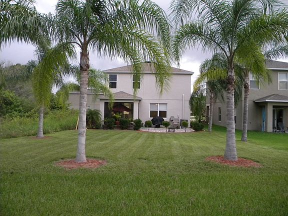 Backyard with mature palms