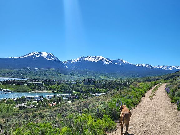 Minutes away from Tenderfoot and Oro Grande Trails