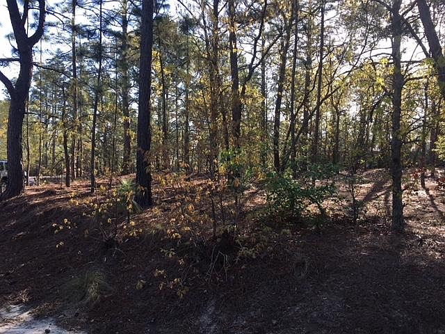 2nd image of 77 Pine Lake Dr