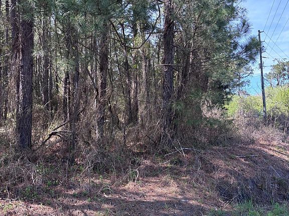 4th image of Lot 2 Us 117 Highway