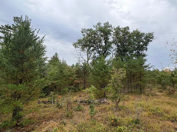 0 S Hall Rd, Roscommon, MI 48653