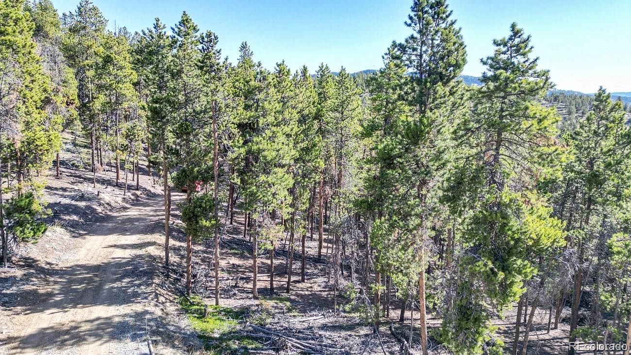 2 Zip Trail, Idaho Springs, CO 80452 MLS 8515134 Zillow