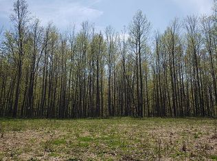 15550 W Clear Lake Rd, Buchanan, MI 49107