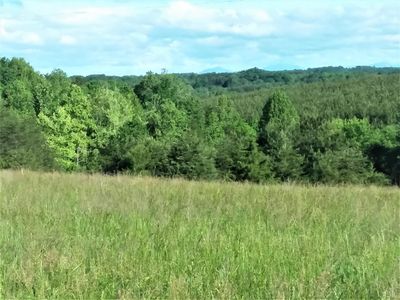 4 Staunton River Farm Rd Lot 4, Altavista, VA, 24517