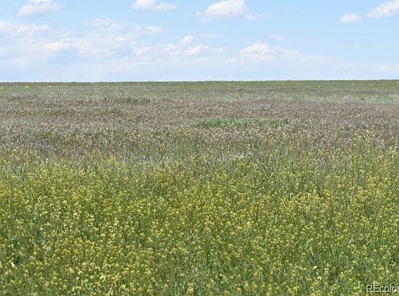 5th image of 20601 County Road 169