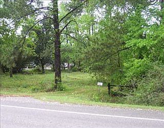 5th image of 339 Highway 21