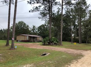 12 Bullrush Ct, Middleburg, FL 32068