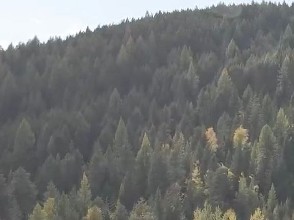 5th image of 105 Highland Meadows Rd