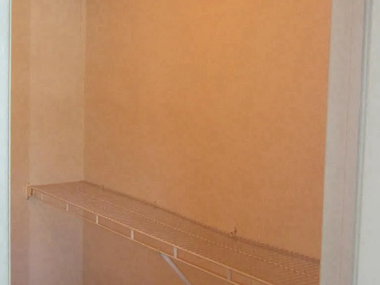 Master Walk-in Closet