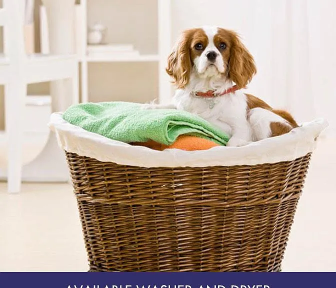 pet friendly!