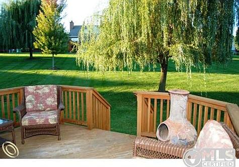 Gorgeous Backyard