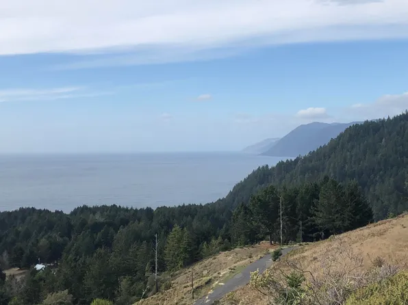 86 & 112 Rawhide Ct, Whitethorn, CA 95589