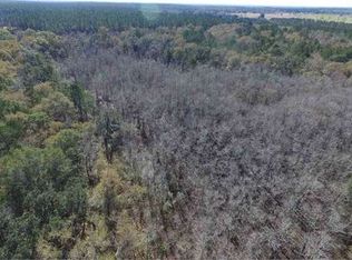 467 Saint Augustine Rd, Monticello, FL 32344