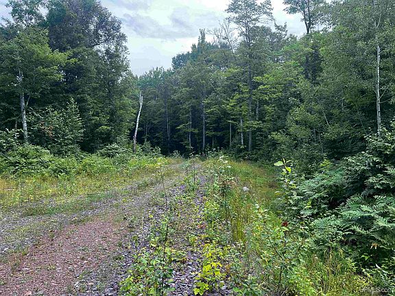 5th image of Holli Blue Rd