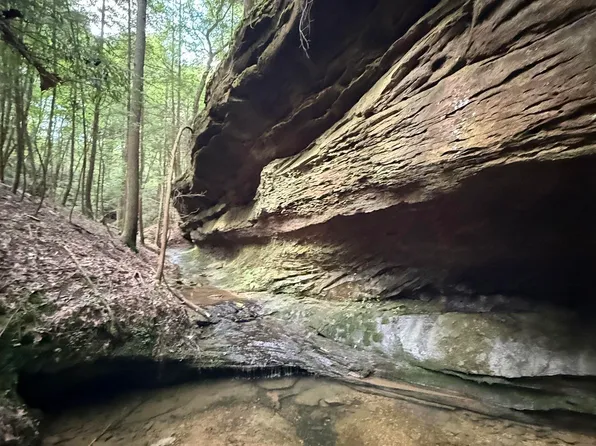 County Road 2, Double Springs, AL 35553