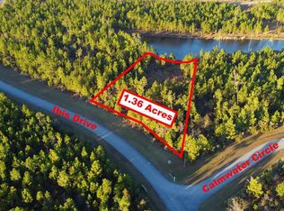 157 Ibis Dr, Wewahitchka, FL 32465