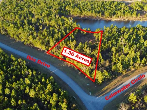 157 Ibis Dr, Wewahitchka, FL 32465