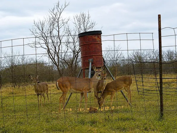 851 County Road 450, De Leon, TX 76444