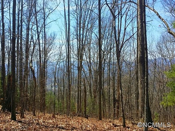 5th image of 60 Katies Ridge Dr