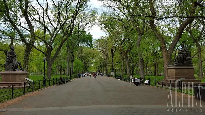 Rented by Alpha Properties NYC I LLC | media 15