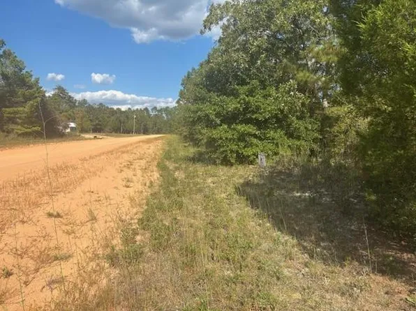 0 Nezperce Drive, Alford, FL 32420