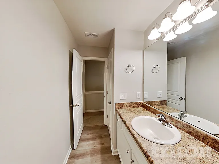 4217 Piedmont Farms Way — Photo 21