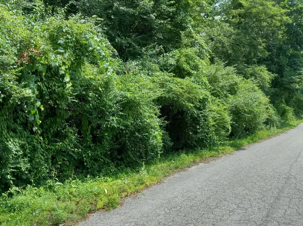 0 Henry St, Appalachia, VA 24216