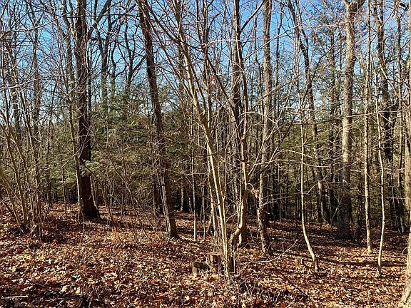 5th image of Woodside Dr