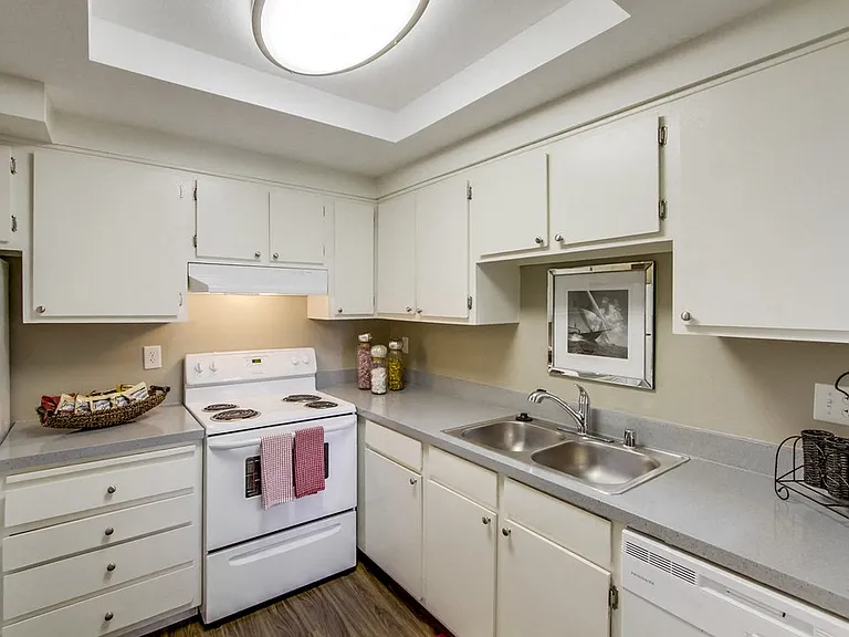 Mesa Village Apartments — Photo 4