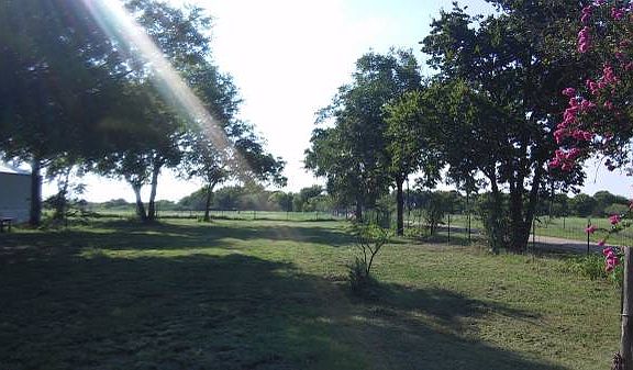 Front yard from driveway