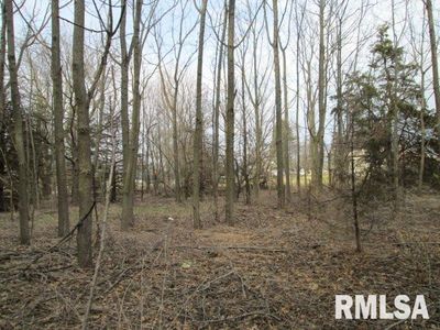 Springfield Rd, Groveland, IL, 61535