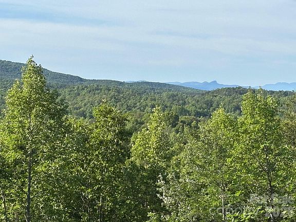 3rd image of Vein Mountain Rd #6