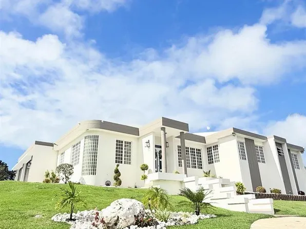 Bo Callejones Callejones, Lares, PR 00669