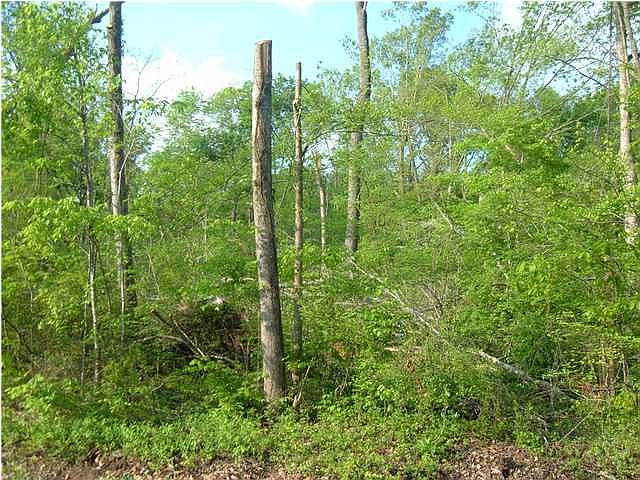 1st image of 8158 Savannah Hills Dr