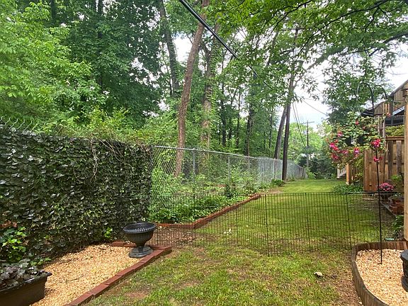 Backyard area