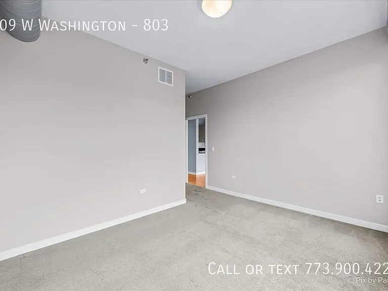 909 W Washington #803 — Photo 12