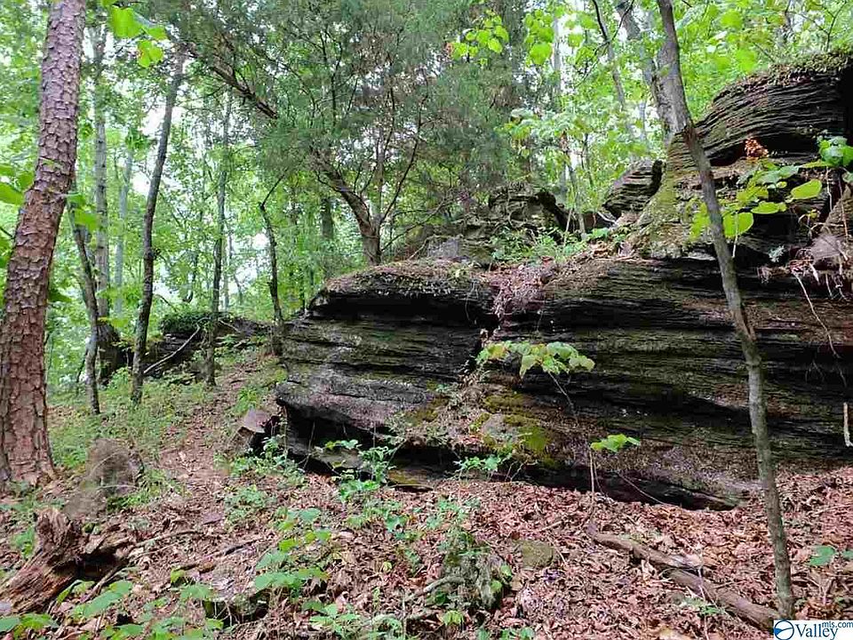 State Highway 68, Collinsville, AL 35961 MLS 1772949 Zillow