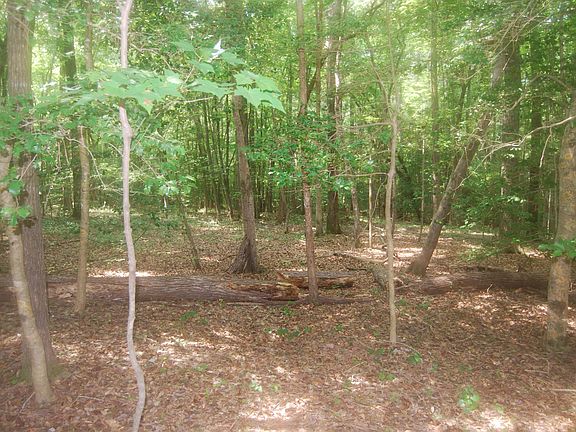 3rd image of 107 White Horse Dr #2931