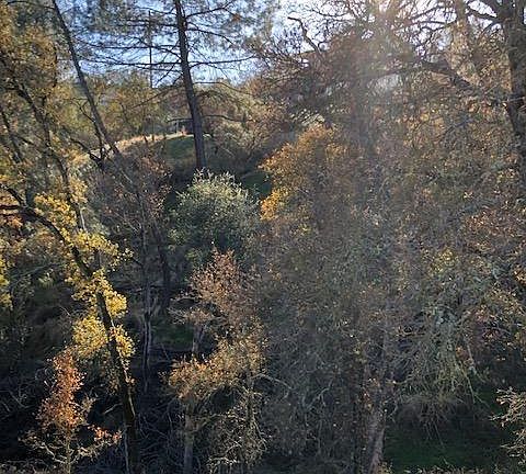 3rd image of 4577 Kiva Dr #2176