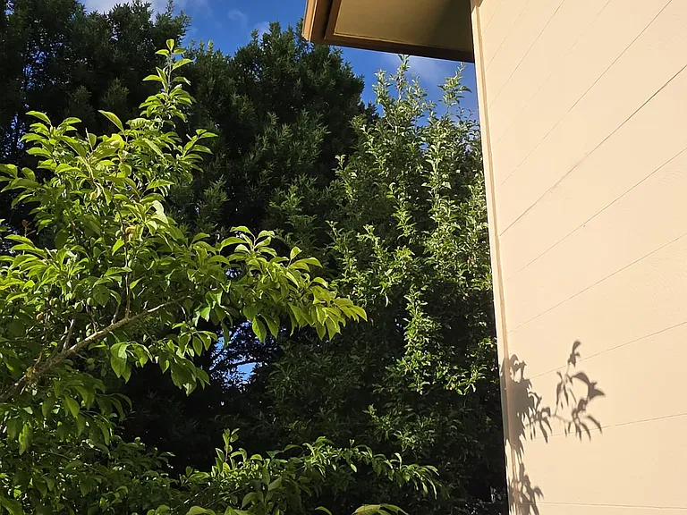 18165 NW Corinthian St — Photo 39