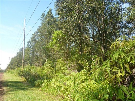 3rd image of Plumeria Dr Lot 49